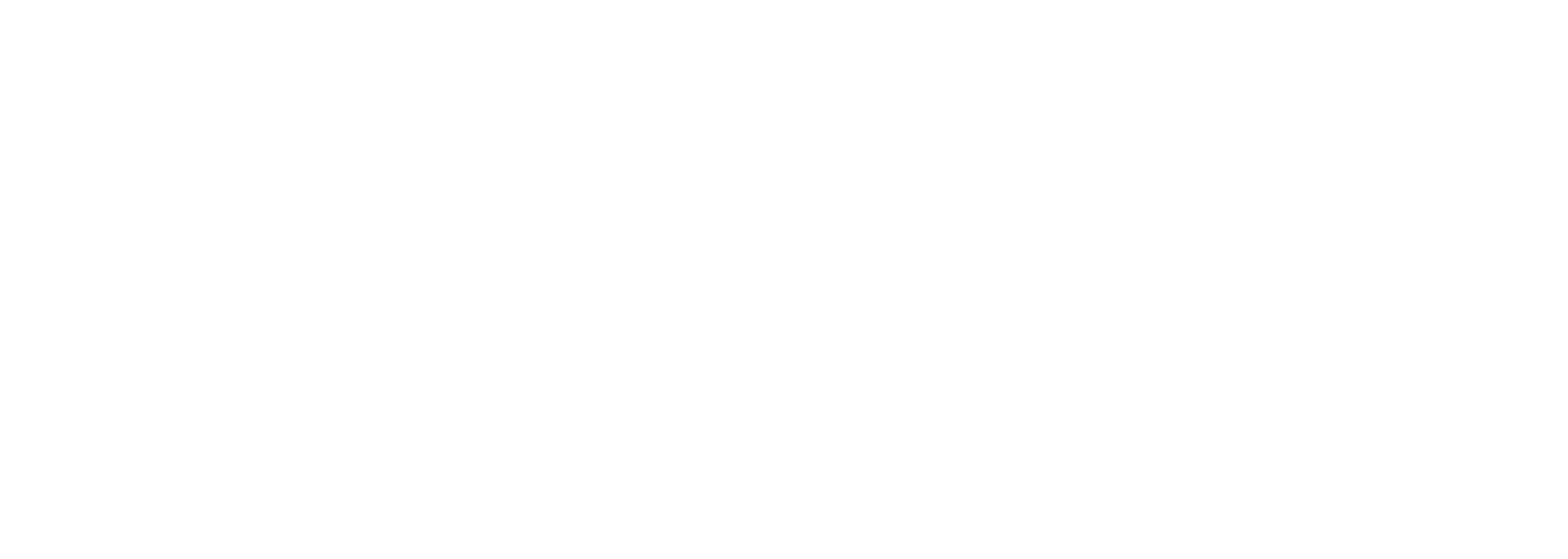 Patrimora Capital