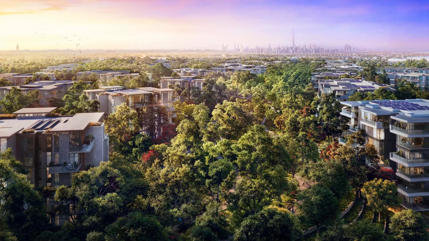 Ghaf Woods by Majid Al Futtaim