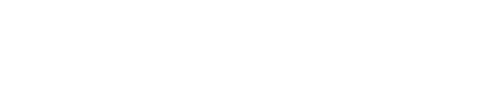 Patrimora Capital